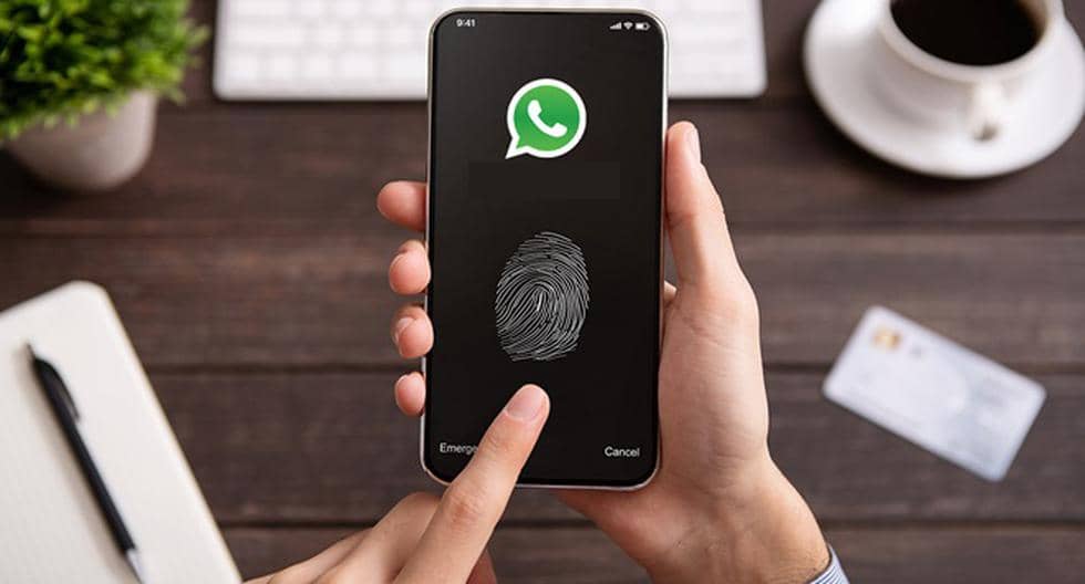 WhatsApp |  How to make the app ask for your fingerprint every time they try to link your account |  Privacy |  Security |  Mobile phones |  computer |  computer applications |  Smartphones |  technology |  trick |  wander |  nda |  nnni |  sports game