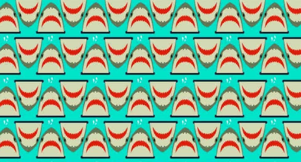 Here is the logic puzzle 2022 |  Only 2% pass this viral challenge: you have to find the smiling sharks in the picture |  visual puzzle |  Mexico