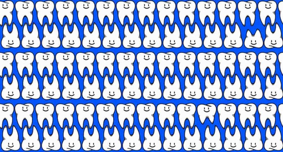 Here, the logical puzzle of the moment |  98% have not overcome this viral challenge: you should find the teeth different from the rest in the photo |  visual puzzle |  Mexico