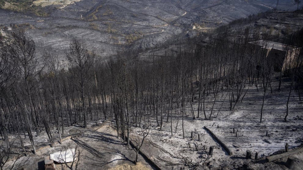 A sad scene: in Spain, an area of ​​​​25 thousand hectares fell victim to the fire