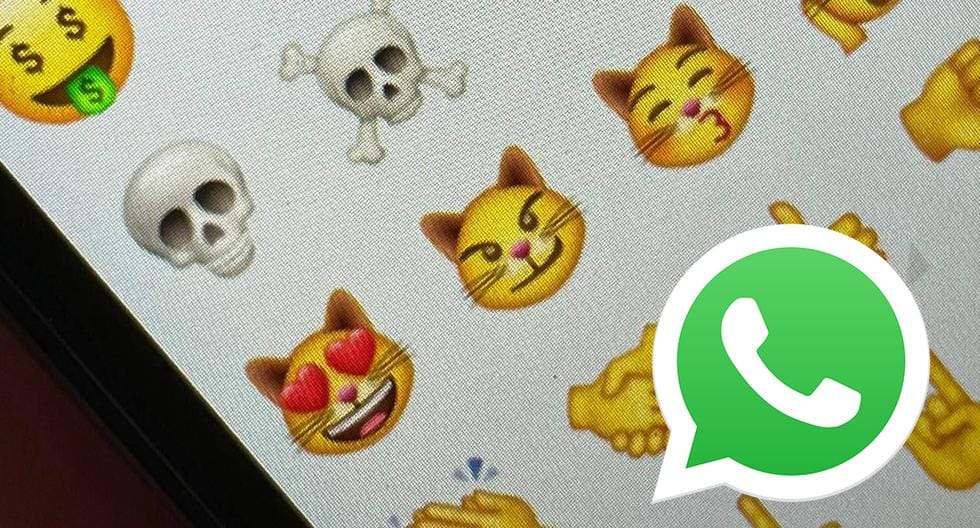 WhatsApp |  Are there nine cats in emoji |  feelings |  cats |  Meaning |  Meaning |  Applications |  Applications |  Smartphone |  Mobile phones |  viral |  trick |  Tutorial |  United States |  Spain |  Mexico |  NNDA |  NNNI |  SPORTS-PLAY