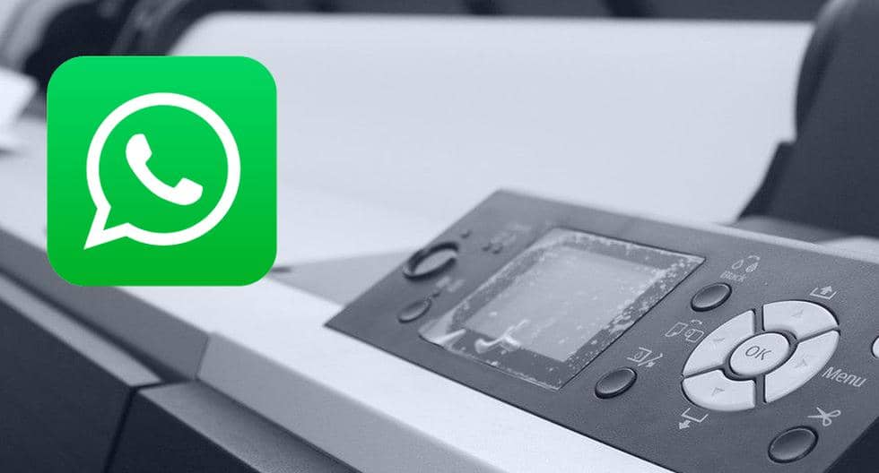 WhatsApp |  The trick to scan documents using your mobile phone and share them through the app |  SPORTS-PLAY