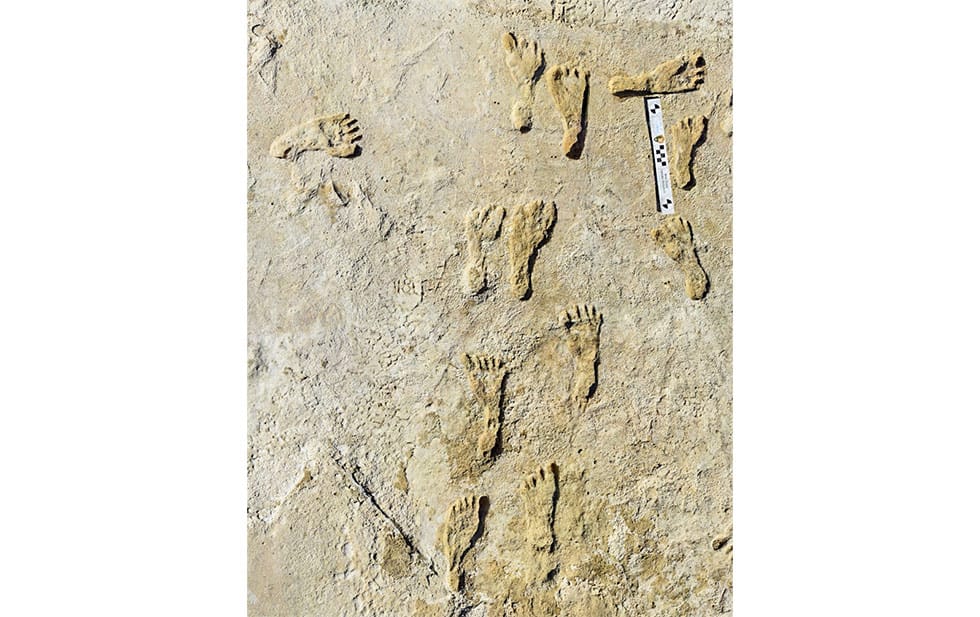 23,000-year-old human footprints found in White Sands
