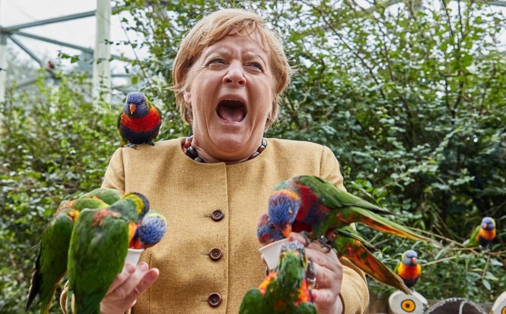 La canciller alemana, Angela Merkel, siento picoteada por un loro arcoíris en un refugio de aves al norte de Alemania. (AFP)