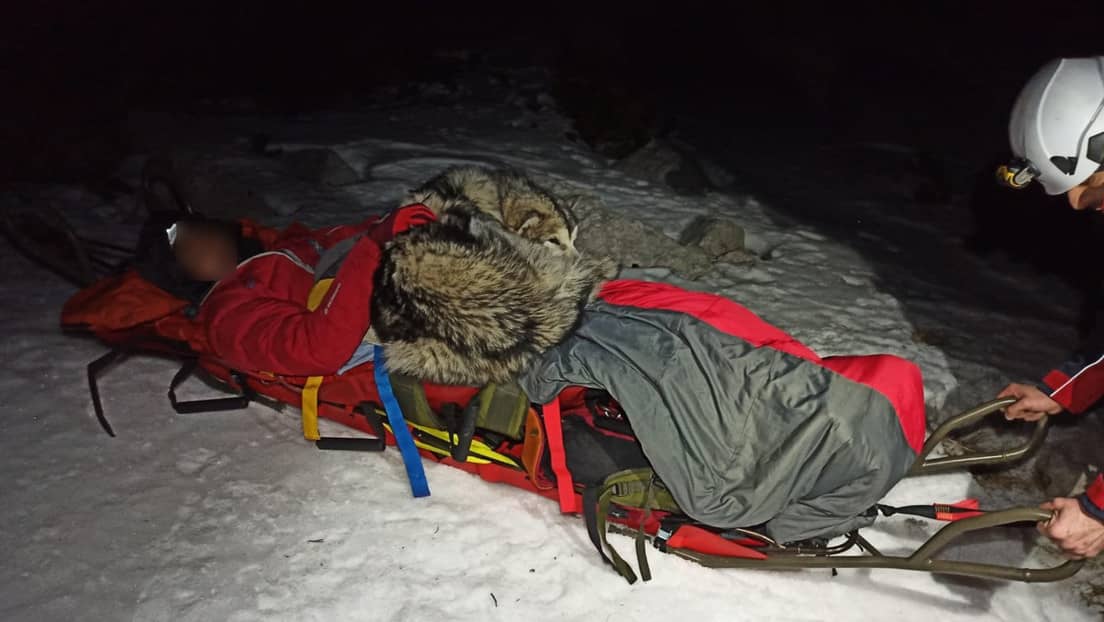 Dog saves injured mountain climber by keeping him warm for 13 hours