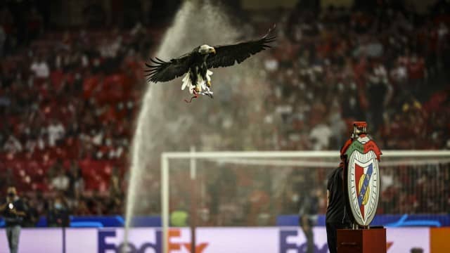 LISBON, PORTUGAL, OCTOBER 20, 2021: The Benfica Eagle arrives ahead of the UEFA Champions League soccer match between Benfica A.  Adler