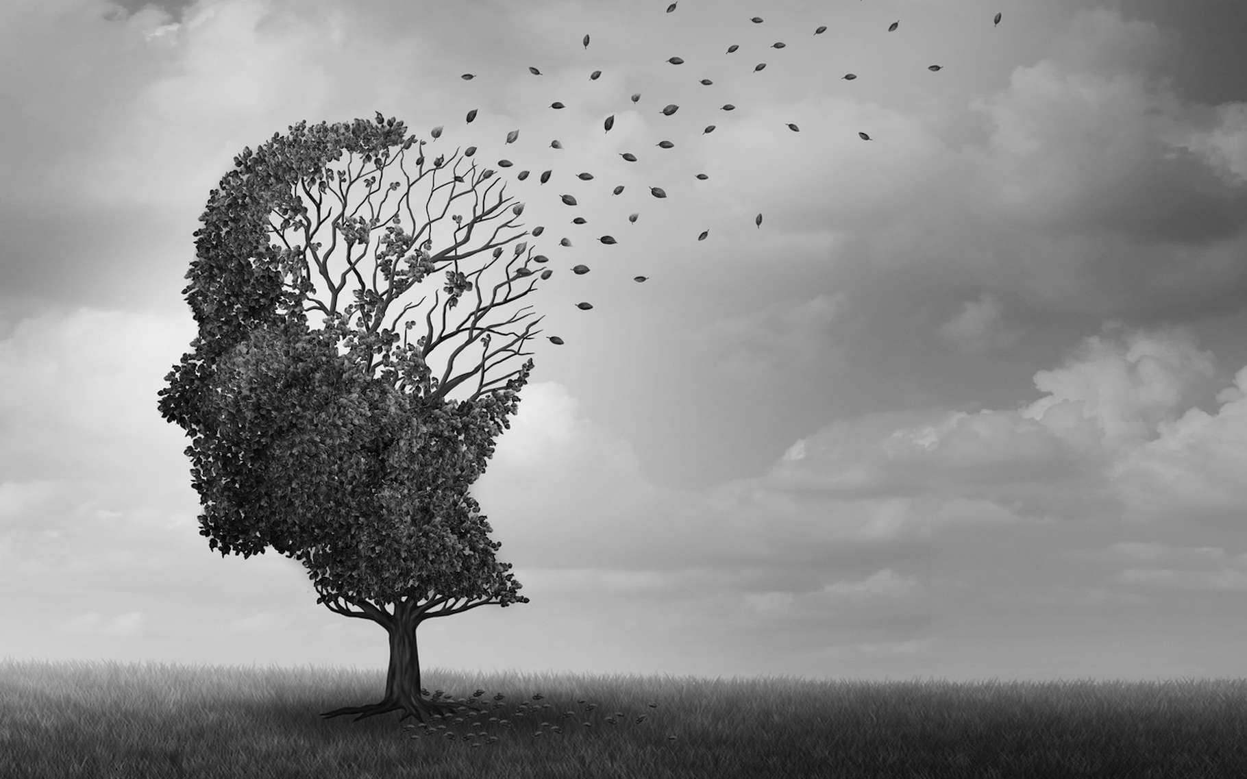 Alzheimer's disease: memory can be restored