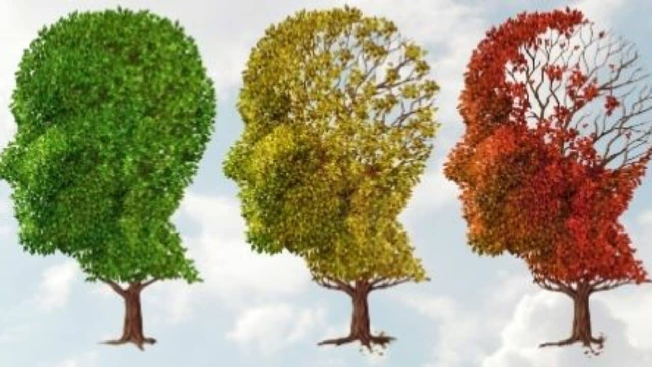 Alzheimer's disease: definition, symptoms and treatment