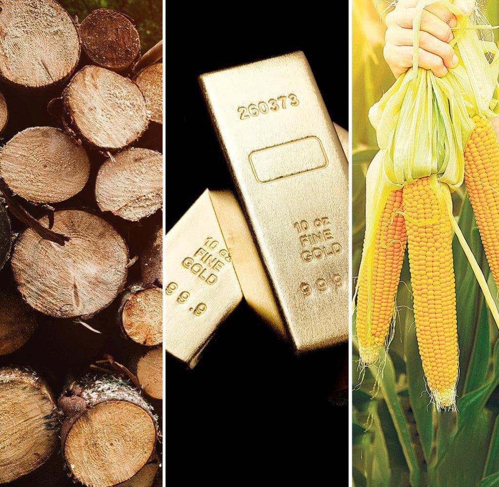 Wood Raw Materials Gold Corn Oil Combo