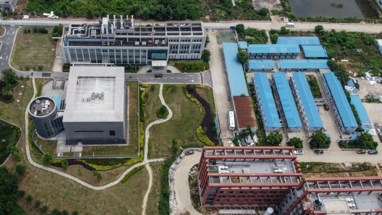 Aerial view of the P4 laboratory of the Wuhan Institute of Virology in May 2020, in China (AFP/Archives - Hector Ritamal)